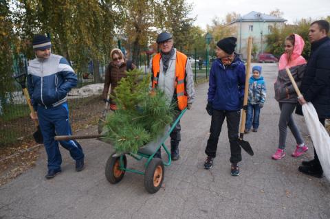 Народная акция. Горожане посадили 25 новых деревьев в парке Бердска