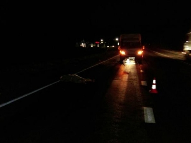 ДТП на трассе под Рязанью - насмерть сбили пешехода