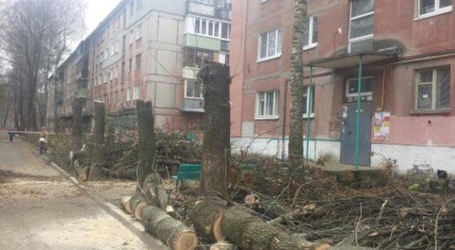 На улице Крупской вместо роскошных деревьев торчат обрубки