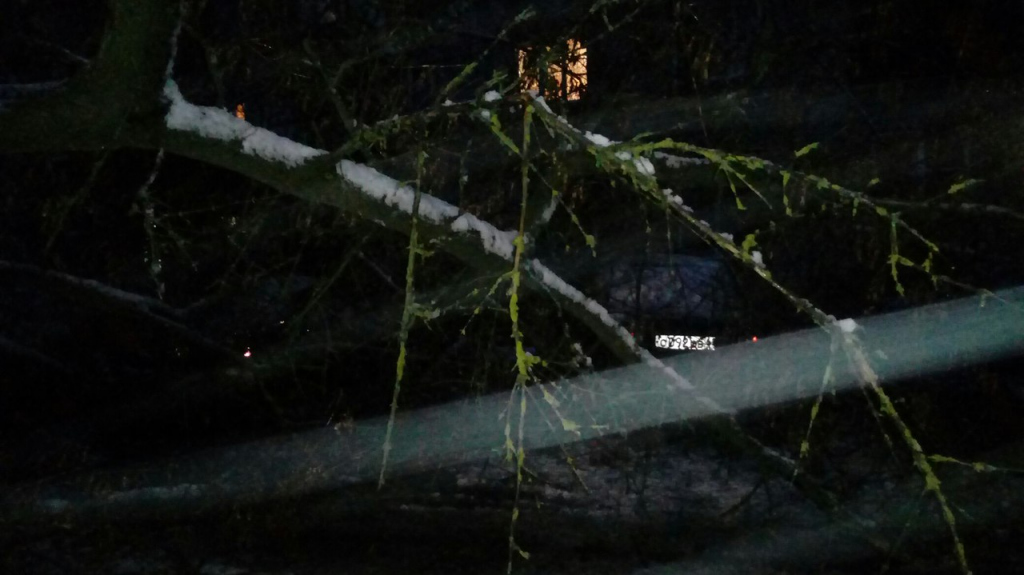 Сразу в нескольких районах Рязани из-за непогоды деревья упали на машины