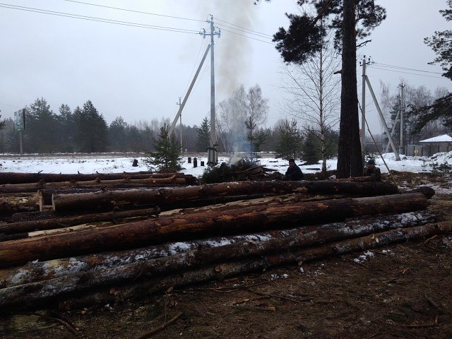 Фото факт: в Рязанском районе вырубили часть леса