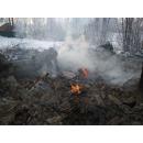 Тела двух неизвестных нашли в пожаре на острове Кудряш в Новосибирске
