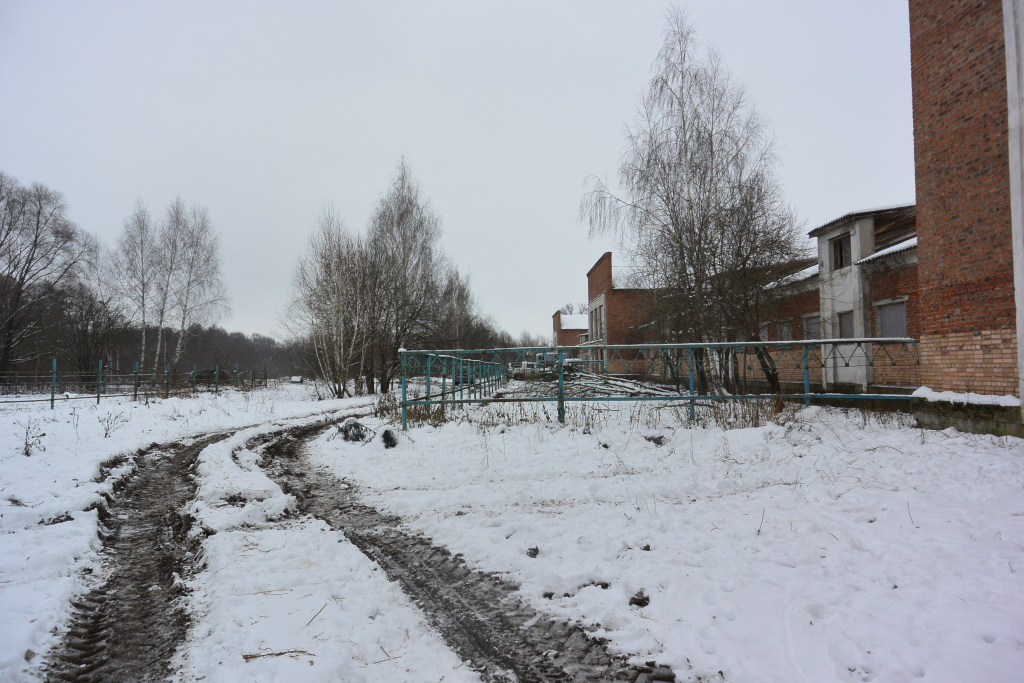 Ситуация накаляется - на конезаводе в Дивово погиб еще один жеребенок