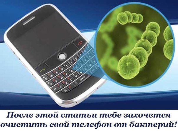  После этой статьи тебе захочется немедленно очистить свой мобильный от бактерий!